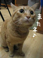 またネ