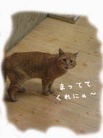 画像の説明